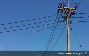 ตาข่ายกันสัตว์ปีนเสา