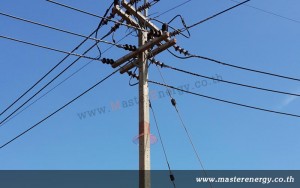 ตาข่ายกันงูปีนเสาไฟฟ้า