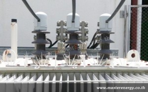 หนามกันสัตว์