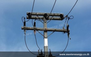 หนามกันนกเสาไฟฟ้า