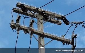 หนามป้องกันสัตว์