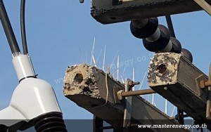 หนามป้องกันสัตว์