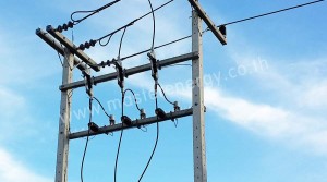 หนามป้องสัตว์