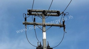 หนามป้องกันนก